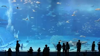 Най - големия аквариум в света +линк за силата на природата