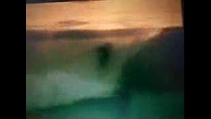 Thumb Fish Bonzer