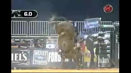 Travis Briscoe Vs Grey Dog 