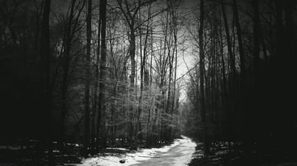Bergthron - Den Treuen Dienern Der Nacht