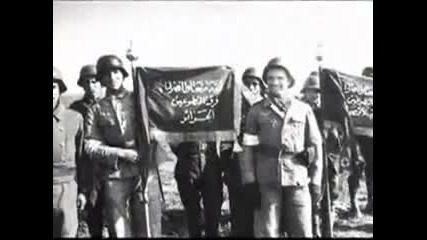 Waffen Ss structure Europe all nazis volunteers 3 millions army. 