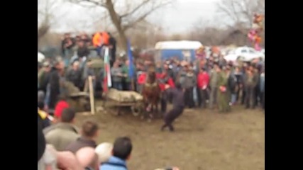 Todorov den-zlatica 10.03.2012g