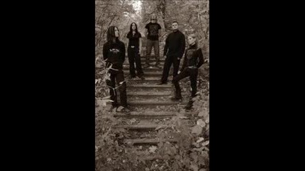 Wine From Tears - The Secret Of The Woods