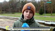 Трогателен клип за спасяването на две кучета развълнува социалните мрежи