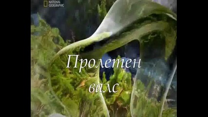 Пролетен валс