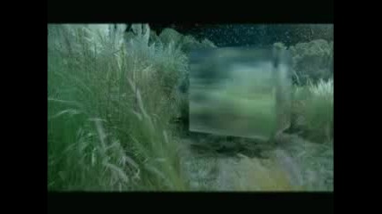 Black Eyed Peas - Meet Me Halfway 