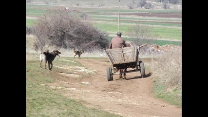 My village and around it...