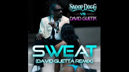 Snoop Dogg - Sweat (david Guetta Remix)