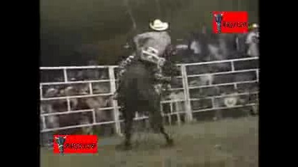 Los Toros Destructores De Memo Ocampo 