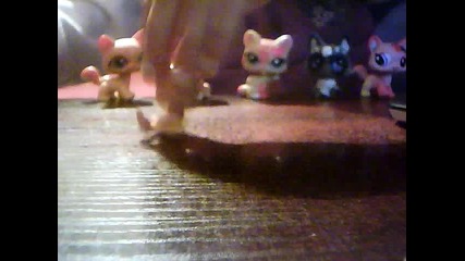 lps idol 2