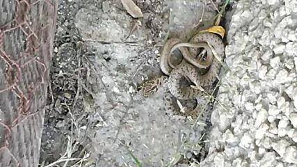 Vid_20211019_152015.mp4