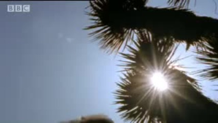 Ground Sloth & Vampire Bats - Wild New World - Bbc Planet 