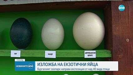 Новините на NOVA (15.04.2023 - обедна емисия)