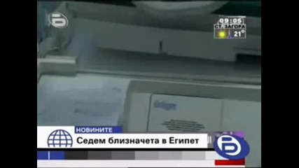 !!! В Египет се родиха седмачета 