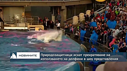 Природозащитници призовават за прекратяване на използване на делфини в шоутата на "Морски свят"