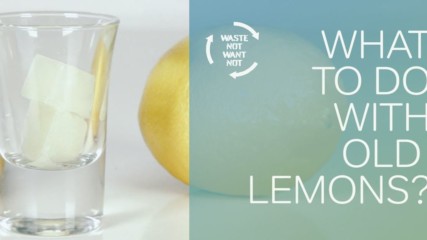 Waste not want not: what to do with old lemons?