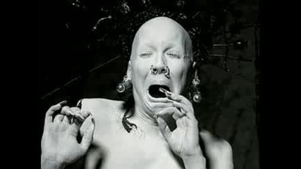 Sopor Aeternus - Encoded Cloister
