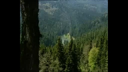 Dertliyim Kederliyim (volkan Konak)