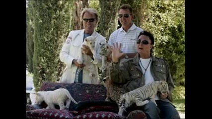 Siegfried And Roy (tiger Cubs)