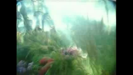 Crazy Town - Butterfly