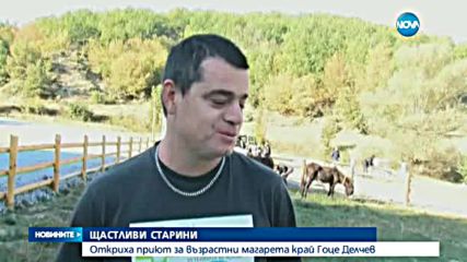 ЩАСТЛИВИ СТАРИНИ:Откриха приют за възрастни магарета край Гоце Делчев