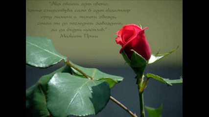 Richard Clayderman - Ballade pour Adeline