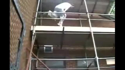 ! Видеото подлудило цялата Parkour аудитория !