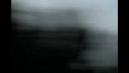 как се гаврят с хайванчето !!!!