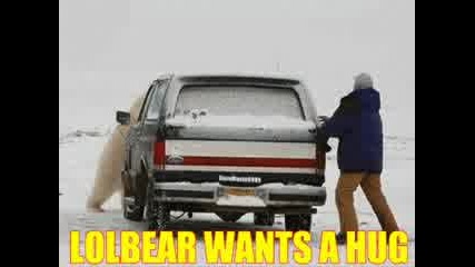 Funny Animals 2