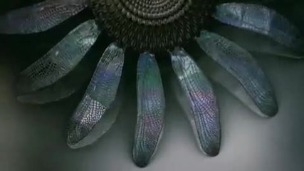 Thx Amazing Life Trailer 