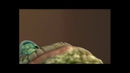 Bi Li Ql Tova{parodiq}