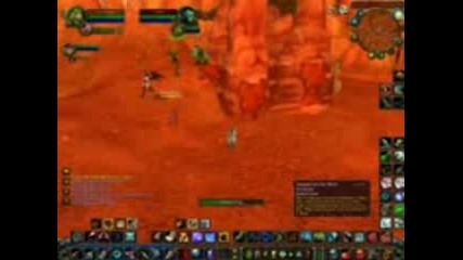 World Of Warcraft - Hunter - :)