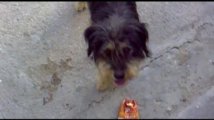 Maxi 
