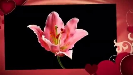 Честит Свети Валентин**меченце**