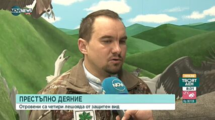 Как бяха отровени четири лешояда от защитен вид