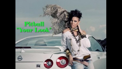 • 2o1o• Pitbull - Your Look ( Snippet)