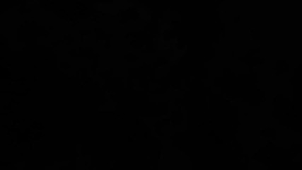 Black Prophecy Debut Trailer 