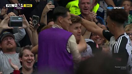 Sheffield United FC with an unlucky Own Goal, vs. Fulham