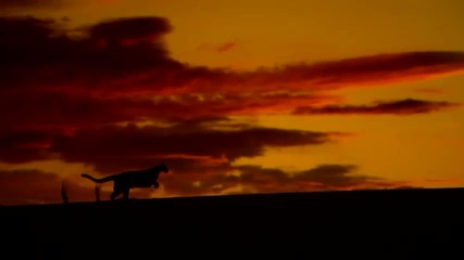 Las Dunas del Desierto de Samalayuca, en Ciudad Ju