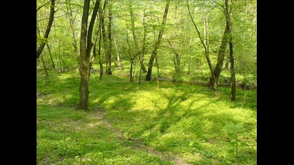 Greennature