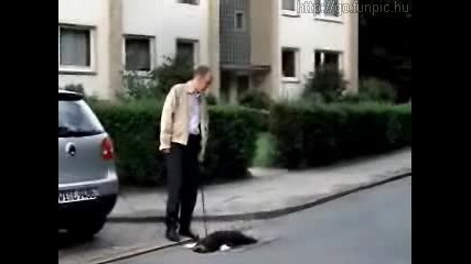 Къде Ми Е Кучето Ха Ха Ха 