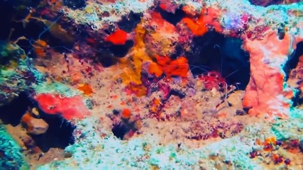 The depths of the ocean