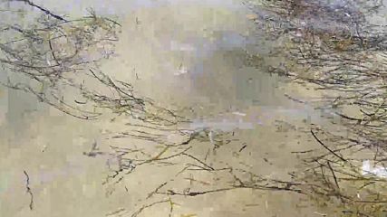 Кога ще почистим Черното море
