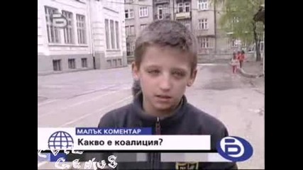 Какво е коалиция - Бтв Малък коментар