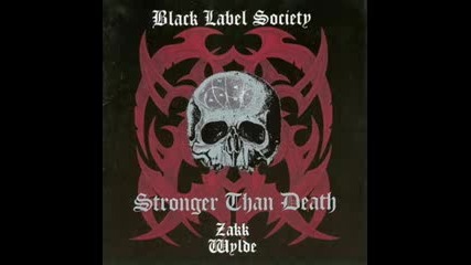 Black Label Society - Phoney Smiles And Fake Hellos