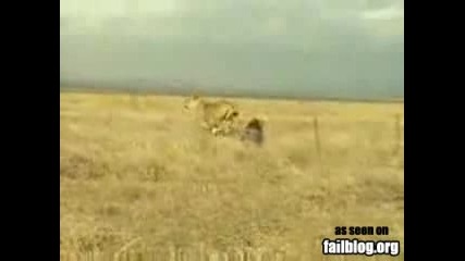 Hunting Fail