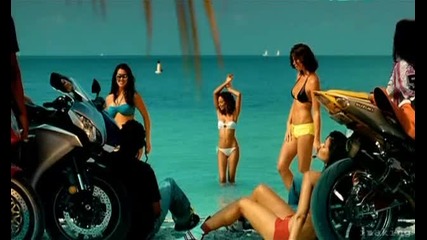 Hq Shaggy Feat. Gary Nesta Pine - Fly High