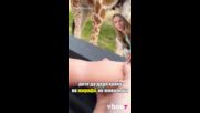 Жираф открадна дете?
