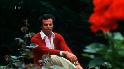 Julio Iglesias - El Amor