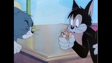 Tom and Jerry - Mouse In The House